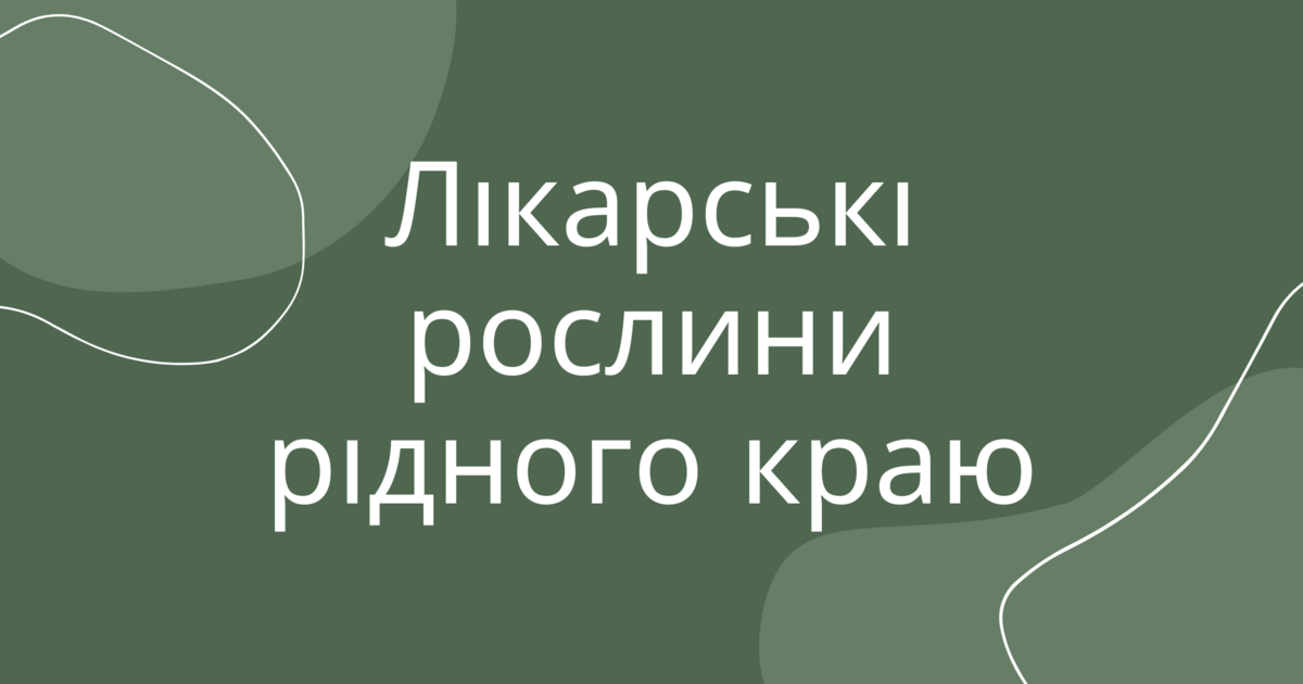 Презентація "Лікарські рослини" 2-4 класи | Презентація. Я досліджую світ