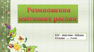 Презентація  з теми "Розмноження квіткових рослин"