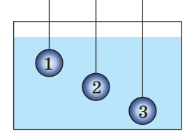04027gns-0776-275x198.png