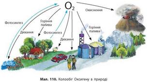 Узагальнення знань з теми "Кисень"