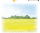 04027iog-3142-142x115.png