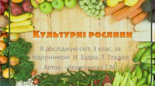 Презентація  з теми "Культурні рослини"
