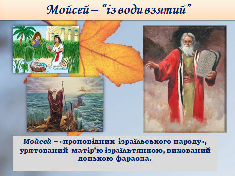 04027n6i-b6d5-480x360.png