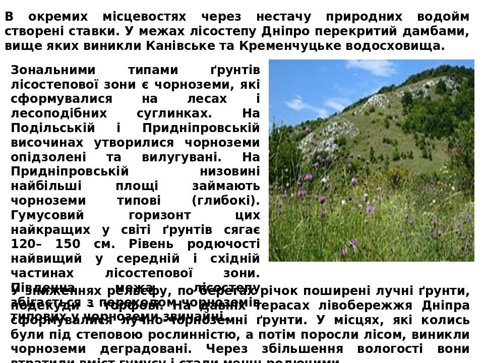 Презентація до теми Природні зони "Лісостеп" | Презентація. Географія