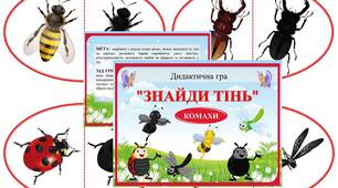 Дидактична гра "Знайди тінь" КОМАХИ