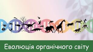 (Копія) Узагальнюючі завдання до теми «Еволюція  органічного світу»