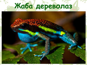 04027t2o-9f43-293x220.jpg