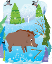 04027uhg-0255-177x216.png