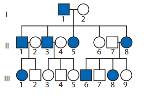 04027urn-dfe7-302x196.png