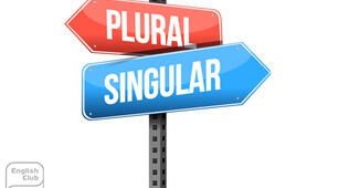 Plural of Nouns