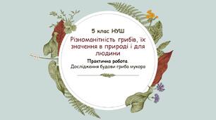 Презентація "Різноманітність грибів, їх значення в природі і для людини"