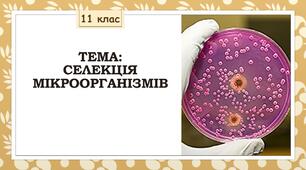 Презентація до уроку 11 класу "Селекція мікроорганізмів"