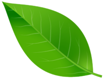 04027ztb-453a-206x156.png