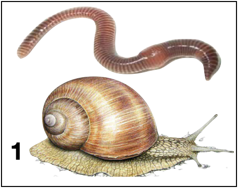 04028011-9e53-472x372.png