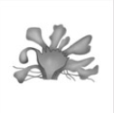 040280sx-d198-126x125.png