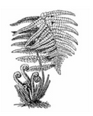 040280va-aba3-131x164.png
