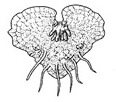 040280y1-ca92-116x102.png