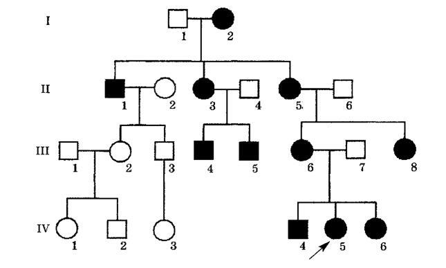 0402849j-3074-645x387.jpg