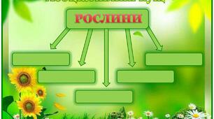 Конспект уроку на тему " Рослини – живі організми"