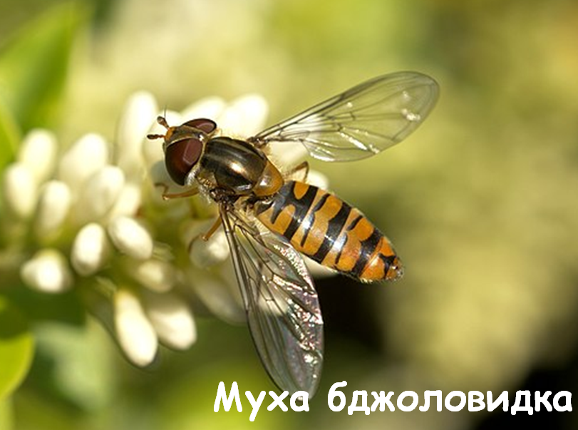 0402866b-b1fc-811x603.png