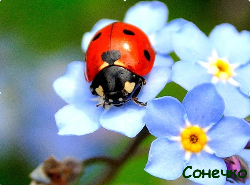 0402866e-48c9-818x605.png