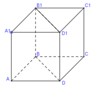 040286yp-c75b-195x178.png