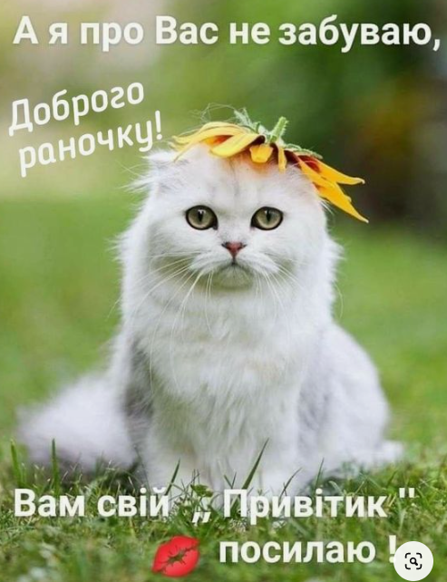 0402895t-cca2-493x642.png