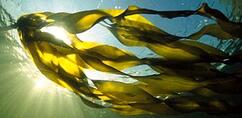 040289tp-6029-640x316.jpg