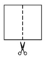 040289vt-fe55-155x190.png