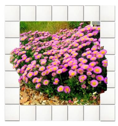 040289x2-fea0-382x407.png