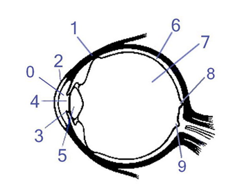 04028a0e-7961-349x283.png