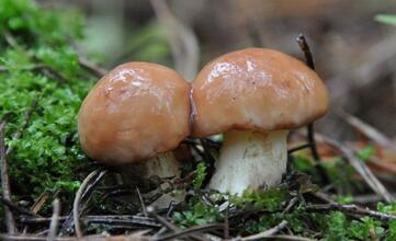 04028aa2-705c-361x220.jpg