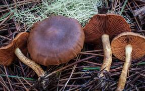 04028acx-9791-287x180.jpg