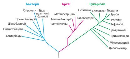 04028b20-7a0e-416x189.jpg