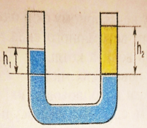 04028b48-321d-208x181.png
