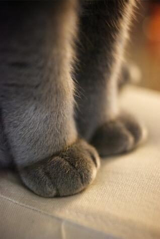 04028bhn-57a7-318x476.jpg