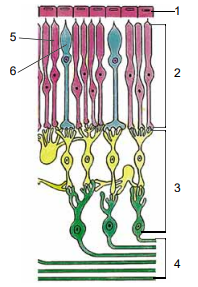 04028bwu-e5e9-211x306.png