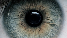 04028bxo-2c4d-274x157.png