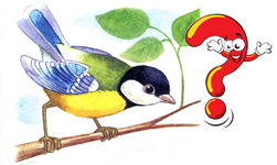 04028crc-cf0a-251x150.png