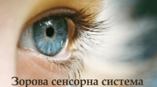 8 клас Зорова сенсорна система