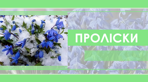 Презентація на тему "Проліски"