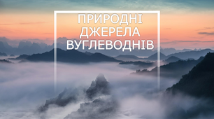 Презентація на тему "Природні джерела вуглеводнів"