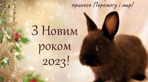 Сценарій Нового року для початкової школи.