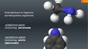 Нітрогеновмісні органічні сполуки (аміни, амінокислоти)