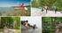 Презентація до уроку Outdoor activities