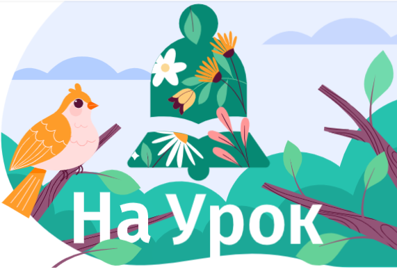 04028k49-0901-571x391.png