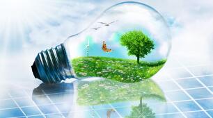 Production orale "L'environnement"