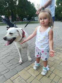 04028me7-9953-209x278.jpg