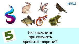 Презентація на тему : " Які таємниці приховують хребетні тварини?"