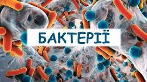 (Копія) 5 клас "Бактерії, їх роль"